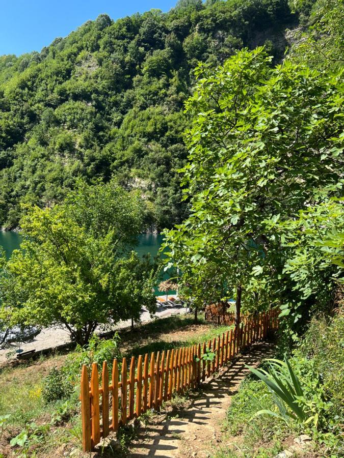Hotel Neomalsore Agrotourism, Komani Lake Extérieur photo