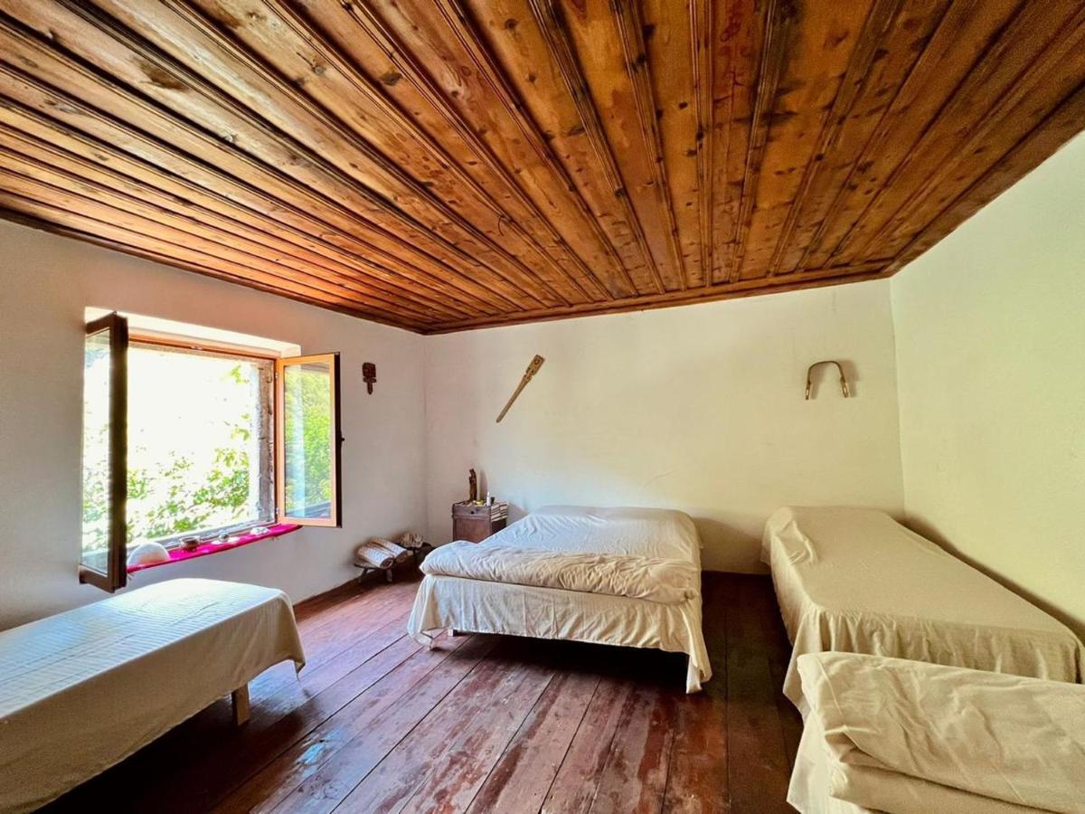 Hotel Neomalsore Agrotourism, Komani Lake Extérieur photo