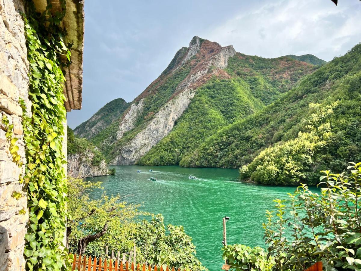 Hotel Neomalsore Agrotourism, Komani Lake Extérieur photo