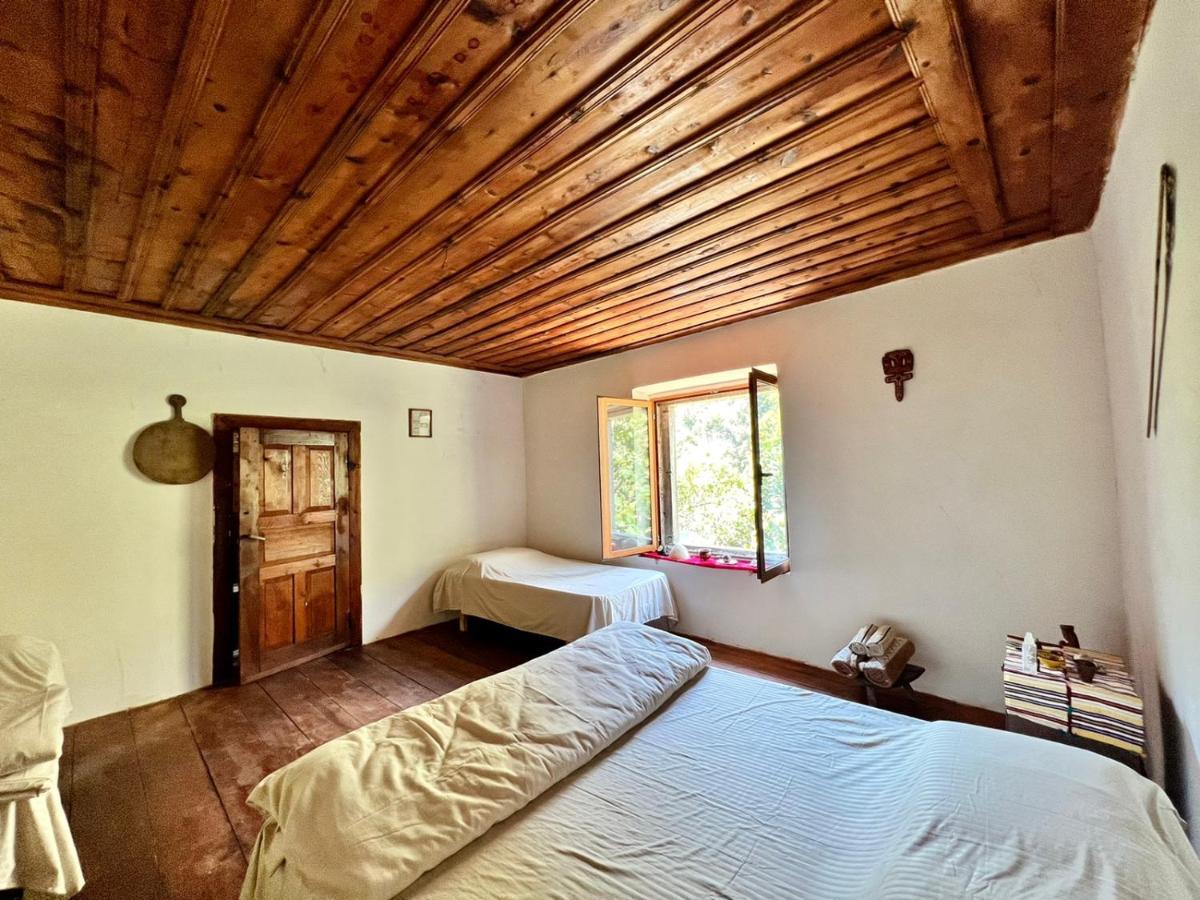 Hotel Neomalsore Agrotourism, Komani Lake Extérieur photo