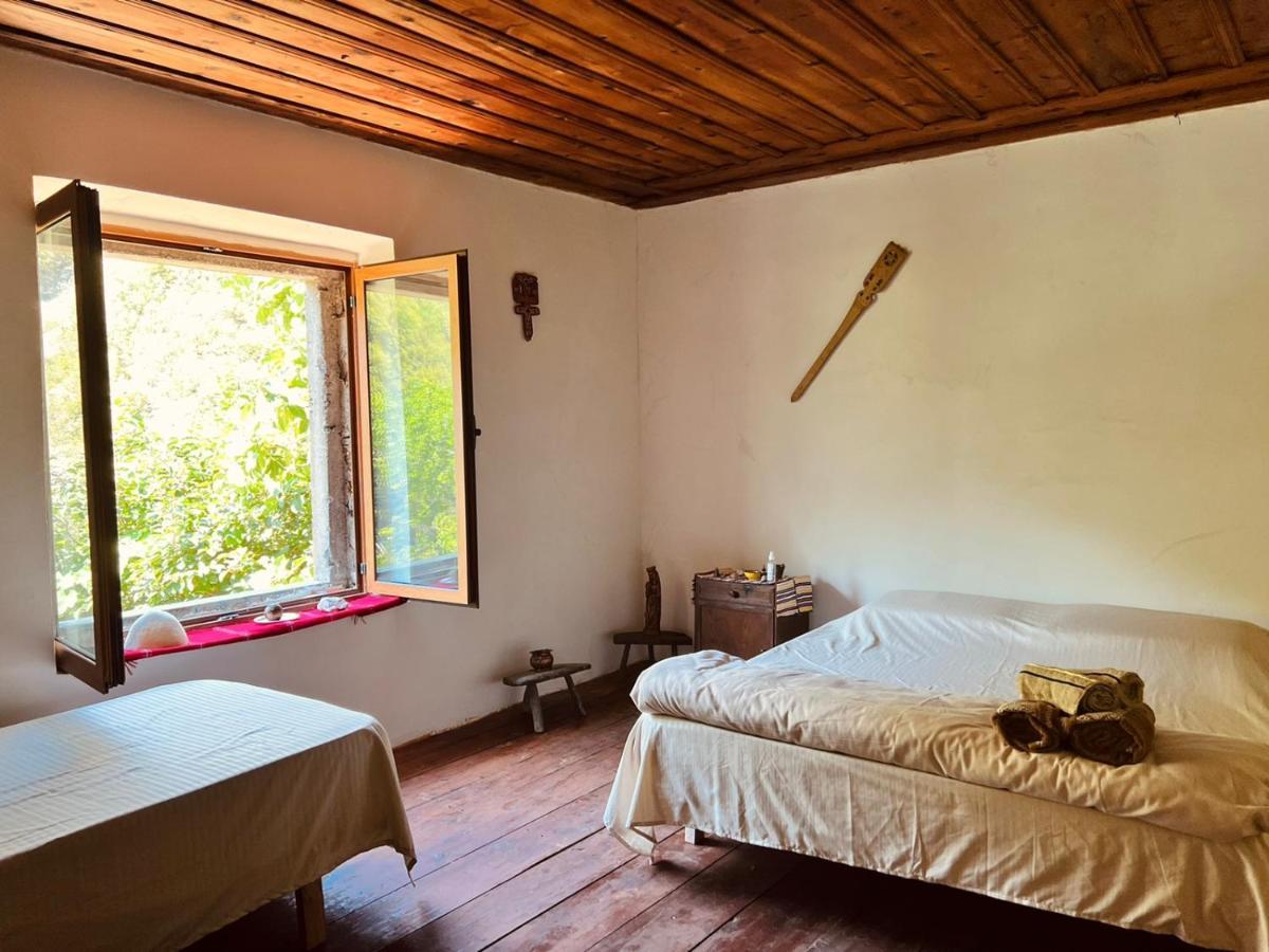 Hotel Neomalsore Agrotourism, Komani Lake Extérieur photo