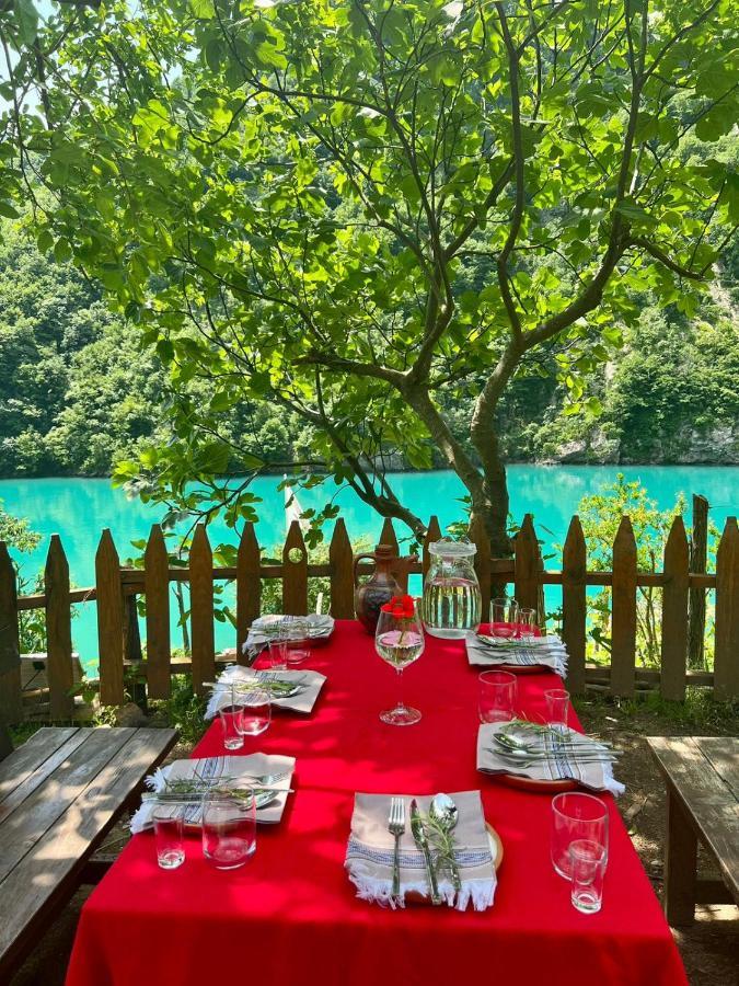 Hotel Neomalsore Agrotourism, Komani Lake Extérieur photo