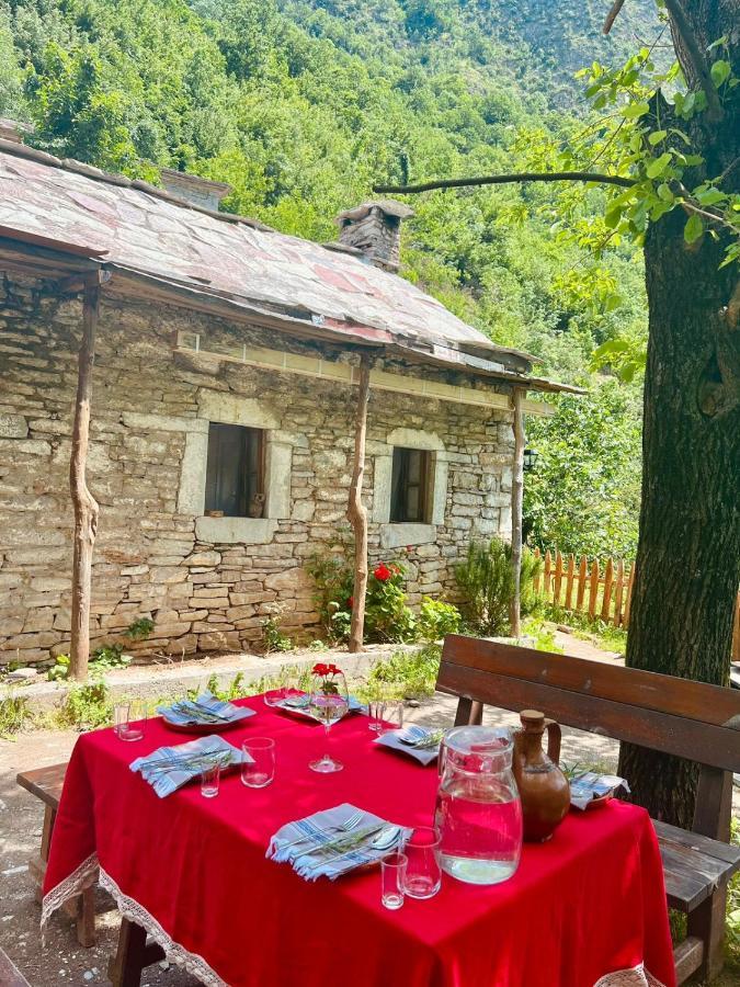 Hotel Neomalsore Agrotourism, Komani Lake Extérieur photo